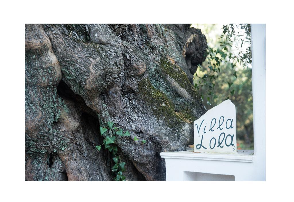 Villa Lola - 3 Bedrooms & Private Pool Lithakia  Exterior photo